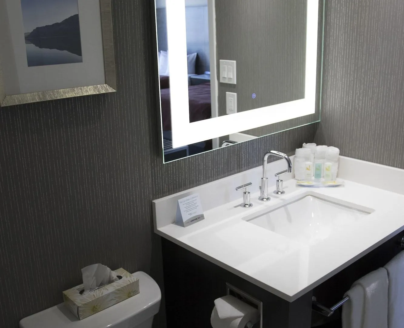 Hotel Embassy Suites By Hilton Toronto Airport